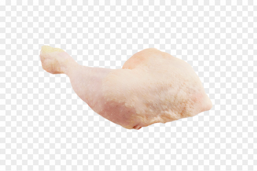 Pollo Animal Fat PNG
