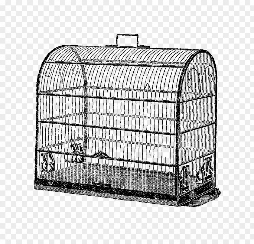 Bird Cage Birdcage Domestic Canary Clip Art PNG