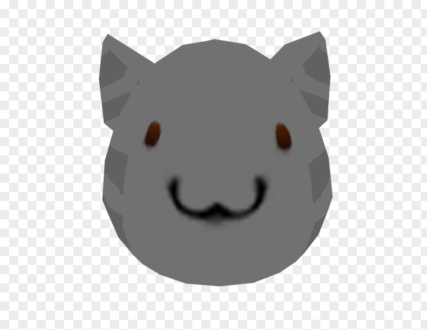 Cat Whiskers Pig Dog Snout PNG