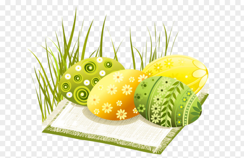 Easter Grass Bunny Egg Christmas PNG