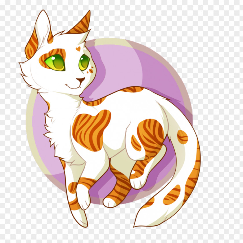 Kitten Whiskers Tabby Cat DeviantArt PNG