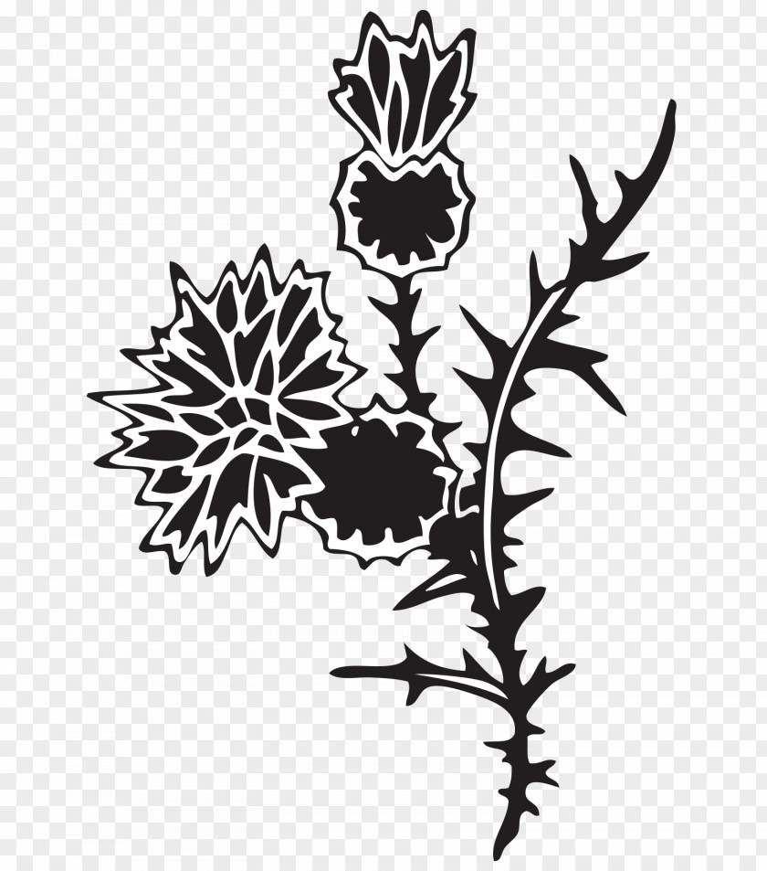 Painting Flowers Vector Flower Ornament Euclidean Pattern PNG