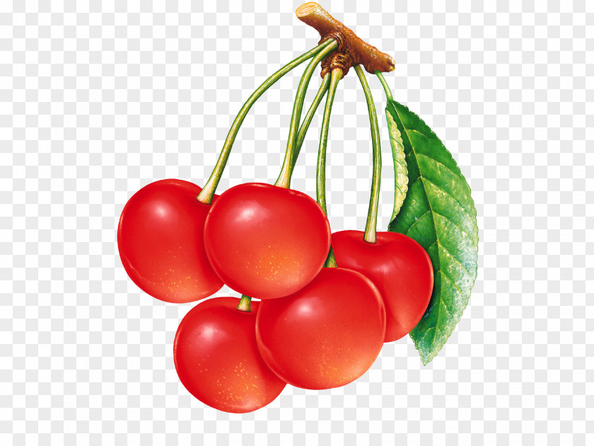Red Cherry Sour Berry Wallpaper PNG