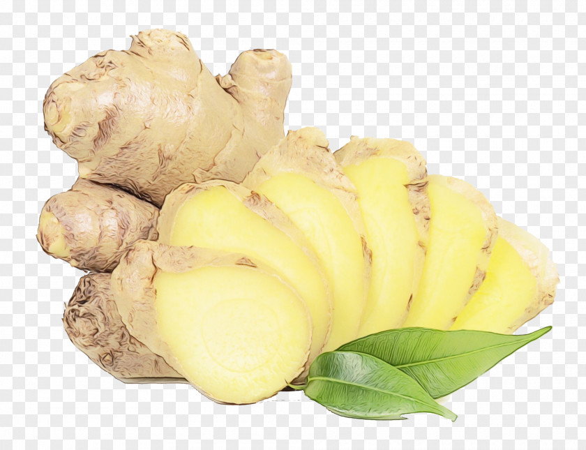 Ginger Vegetable Plant Tuber Root PNG