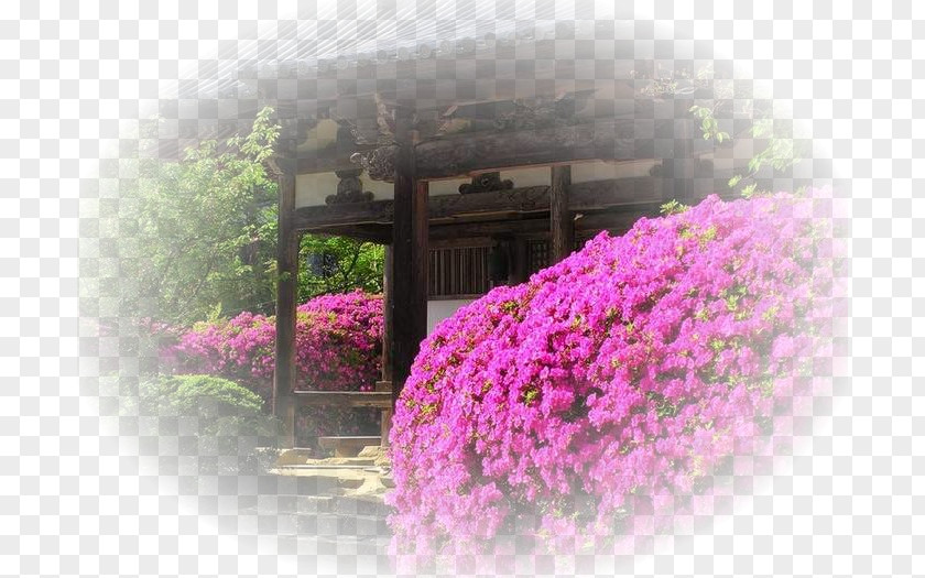 Japan Japanese People Floral Design Flowering Plant PNG