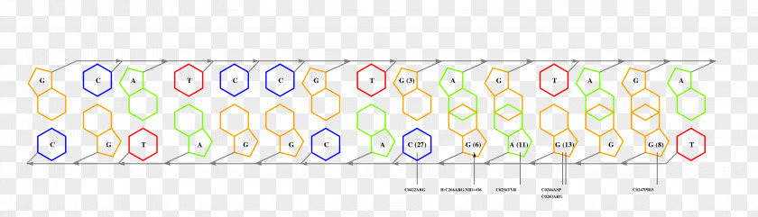 Line Point Pattern PNG