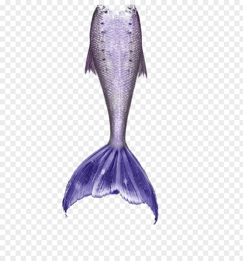 Mermaid Tail Free Download Clip Art PNG