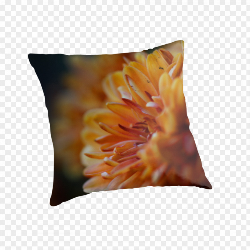 Orange Chrysanthemum Throw Pillows Cushion PNG