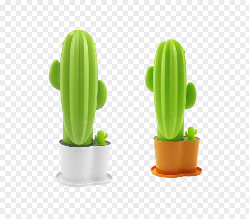 Cartoon Fairy Potted Tree Cactaceae Information PNG