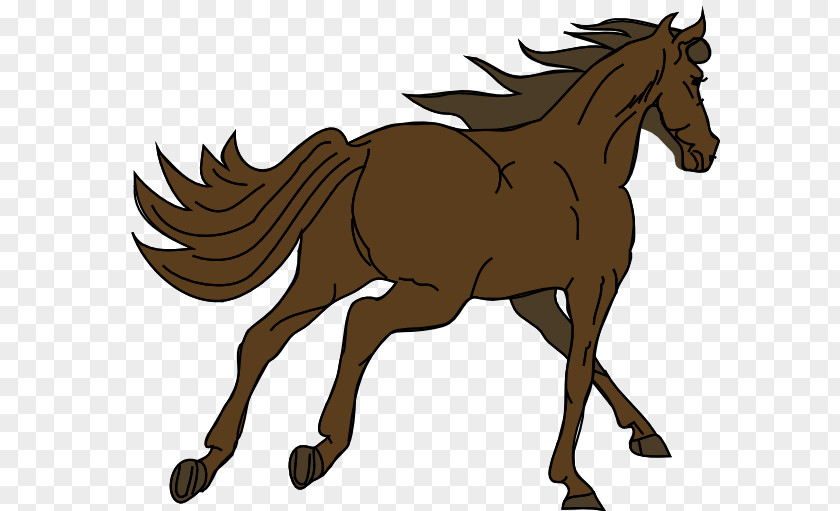 Mustang Clydesdale Horse Foal American Quarter Clip Art PNG