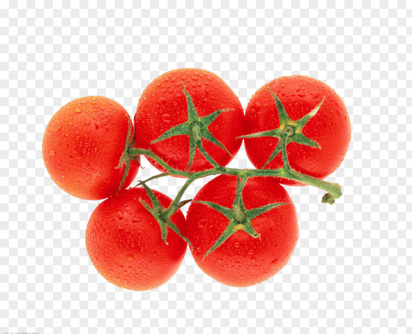 Tomatoes, Fruits And Vegetables Plum Tomato Organic Food Vegetable PNG