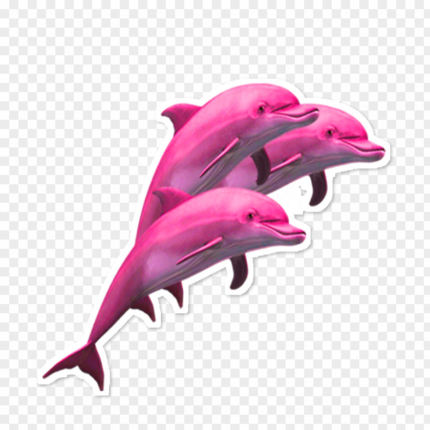 Dolphin Porpoise Sticker Adhesive PNG