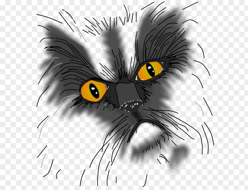 Fooling Around Night Whiskers Kitten Black Cat Grumpy PNG