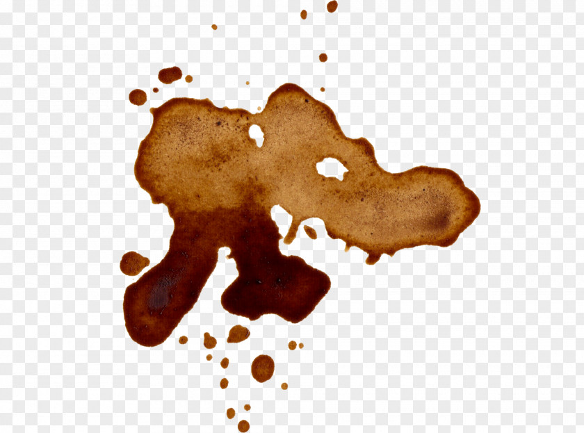 Watercolor Stain Coffee Cup Cafe PNG