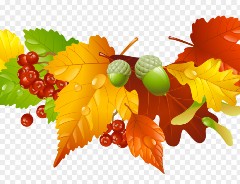Autumn Vector Graphics Clip Art Stock Photography Image Royalty-free PNG