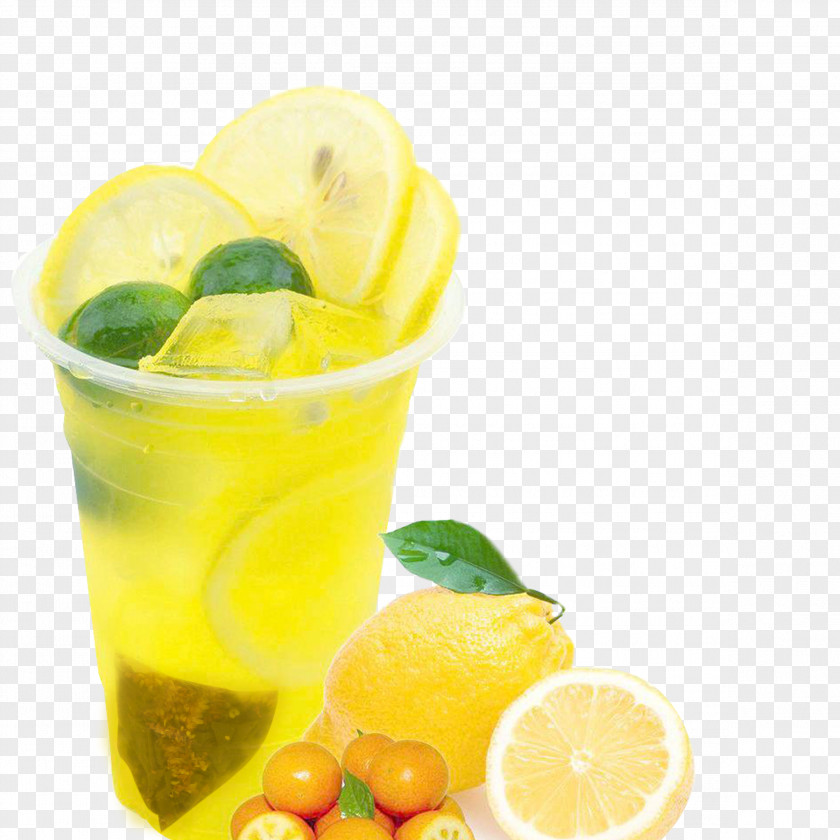 Frozen Lime Tea Green Lemon Juice Lemonade PNG