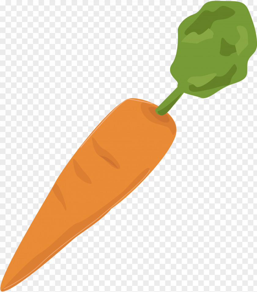 Gastrointestinal Carrot Vegetable Food Drawing Clip Art PNG