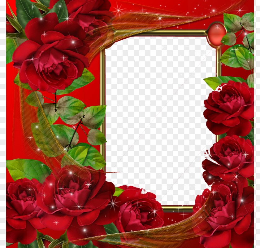 Red Flower Frame Pic Picture Editor Application Software PNG