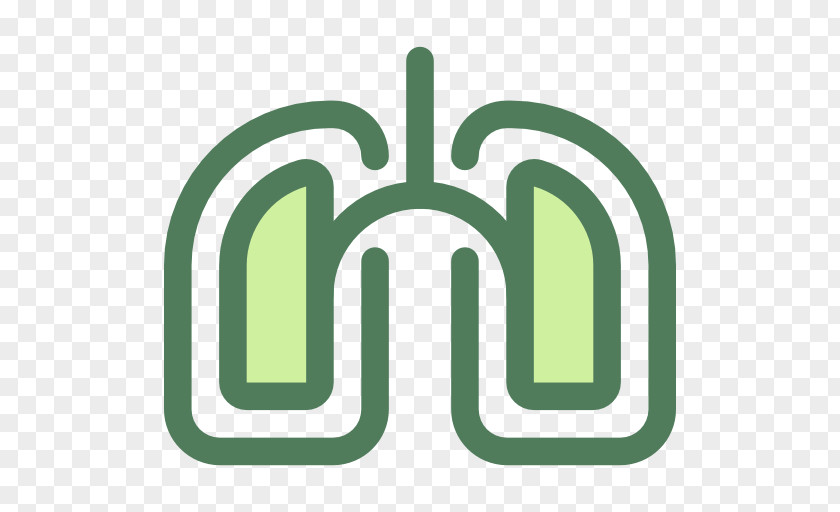 Romantic Breath Lung Human Body Respiration Respiratory System Vascular Surgery PNG