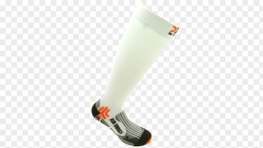 Sock Calf Underpants Knee Foot PNG