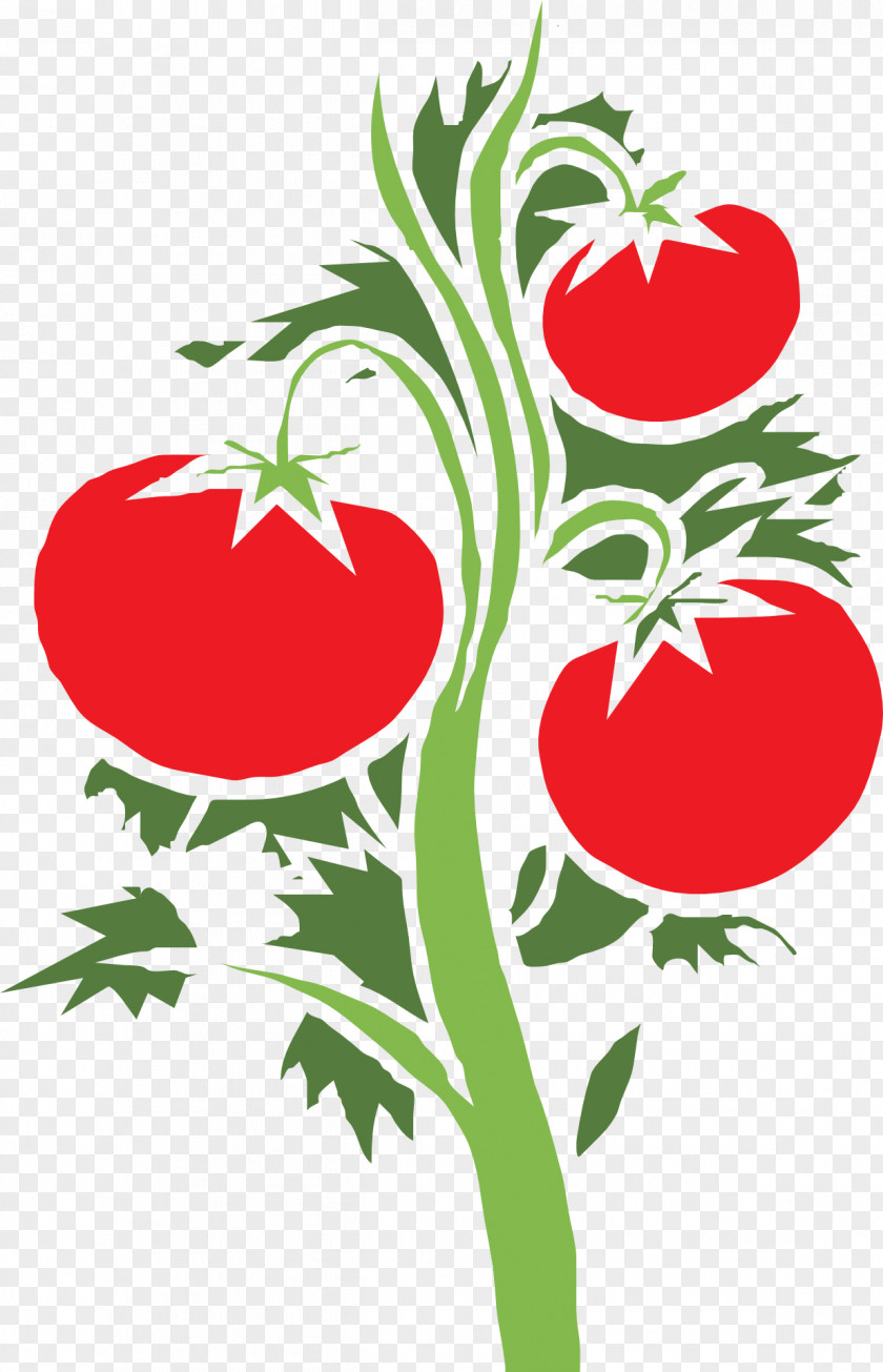 Tomato Cherry Plant Clip Art PNG