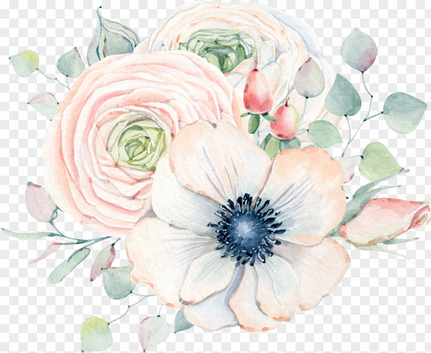 Anemone Button Watercolor Painting Flower Drawing PNG