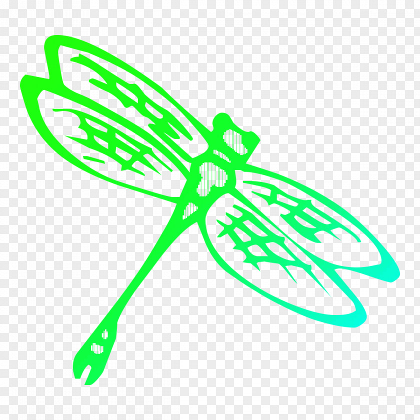 Interesting Insects Clip Art Openclipart PNG