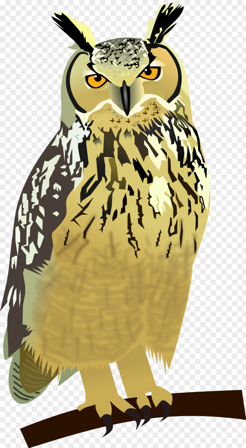 Owl The World Of Great Horned Eurasian Eagle-owl Bird PNG