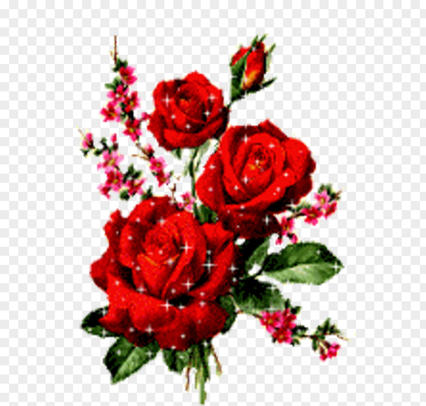 Rose Flower Animation PNG