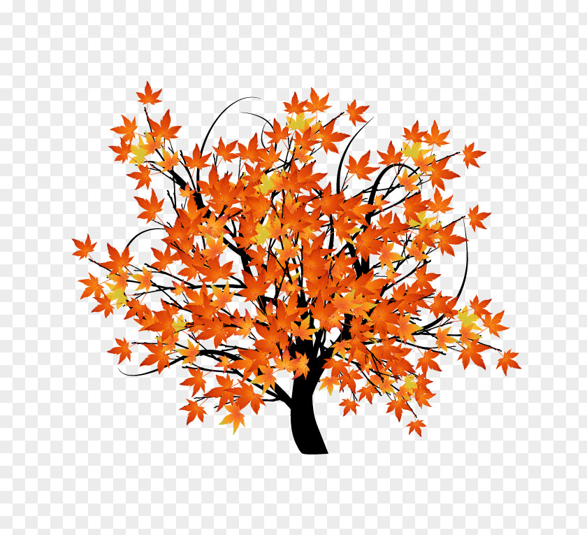 Vector Autumn Maple Leaf Color Tree Illustration PNG