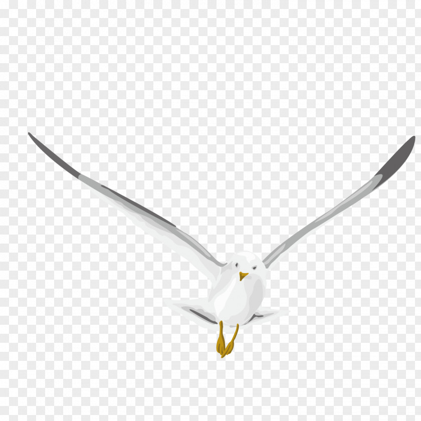 Vector Pattern Flying Pigeon Homing PNG