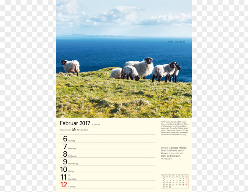 Water Resources Ecoregion Advertising Grassland Calendar PNG