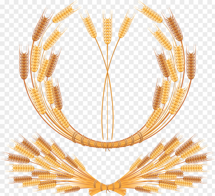 Wheat Euclidean Vector Clip Art PNG