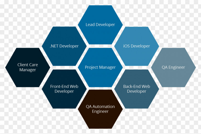 Business Enterprise Resource Planning Software Development Organization Management PNG