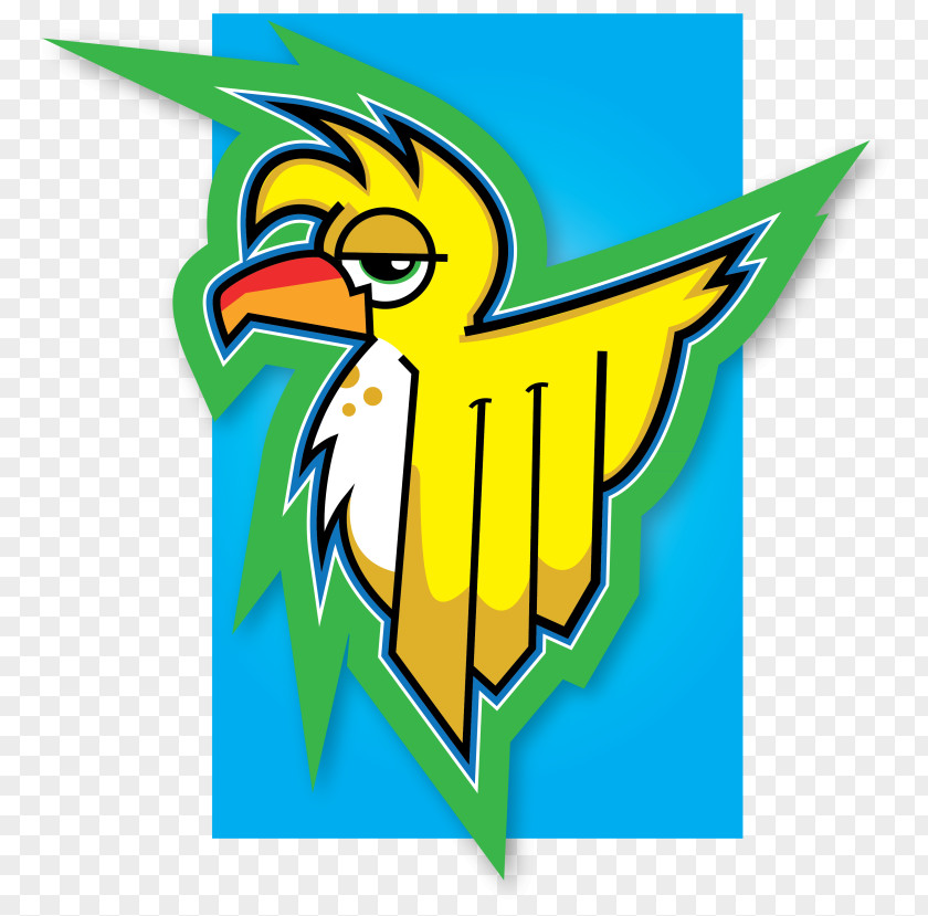 Design Beak Macaw Graphic Clip Art PNG