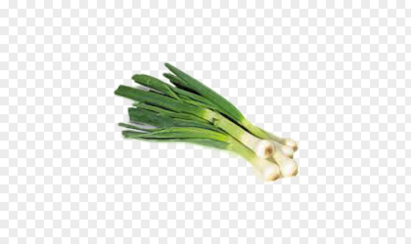 Garlic Chives Allium Fistulosum Leek Onion PNG
