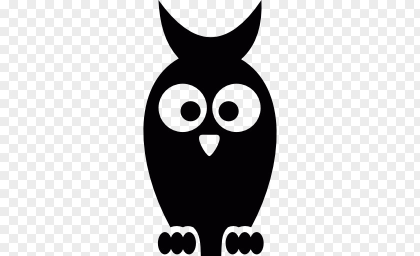 Owls Vector Download PNG