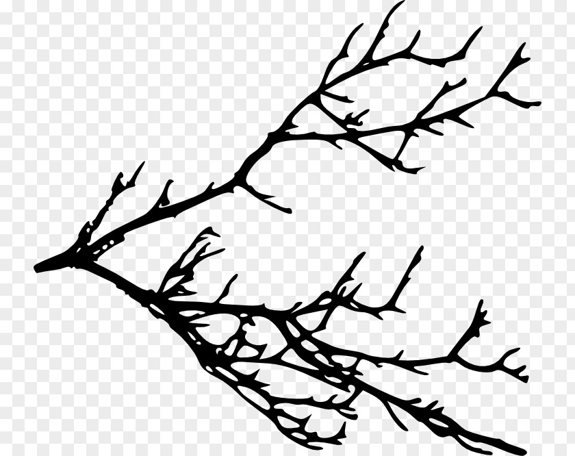 Silhouette Twig Branch Clip Art PNG