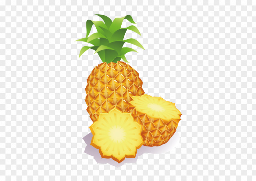 Vector Pineapple Fruit Clip Art PNG