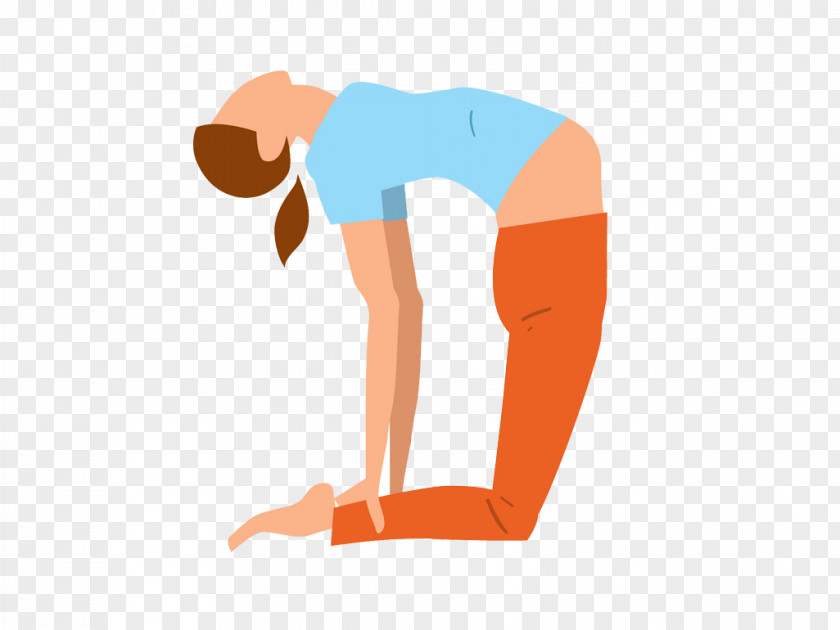 Yoga Aerobics Physical Fitness Aerobic Exercise PNG