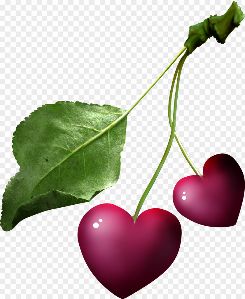 Cherry Fruit Leaf Heart Follaje PNG