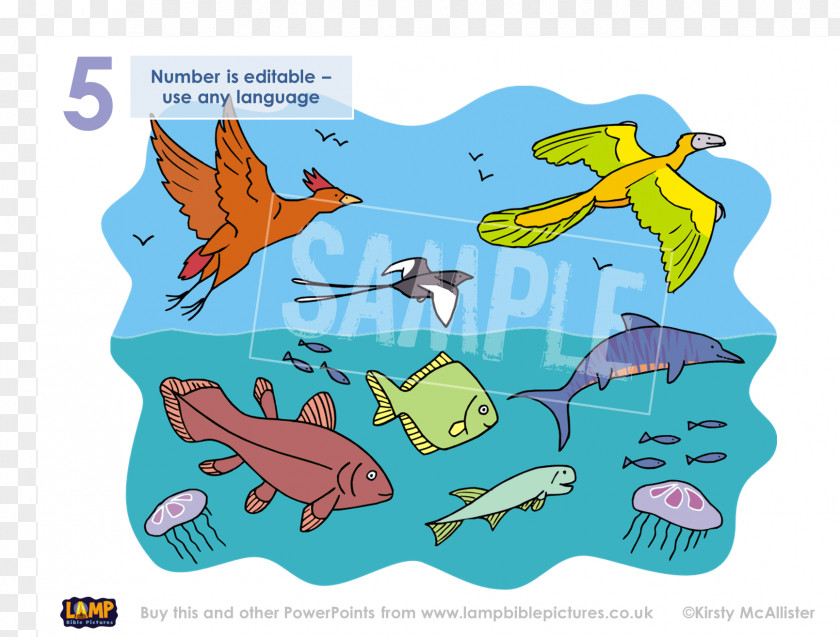 Fish Bird Genesis Creation Narrative Clip Art PNG