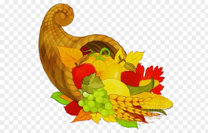 Galliformes Chicken Thanksgiving Turkey Drawing PNG