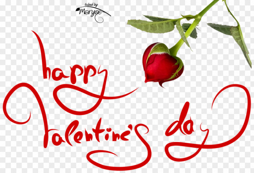 Valentine Dinner Valentine's Day Romance Love PNG
