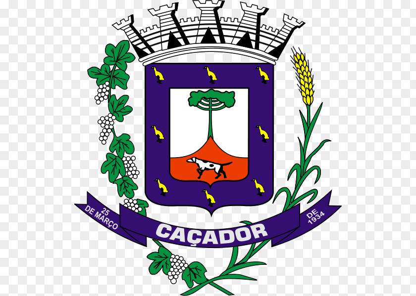 Videira Brasão De Caçador Coat Of Arms Bandeira Águas Lindas Goiás PNG