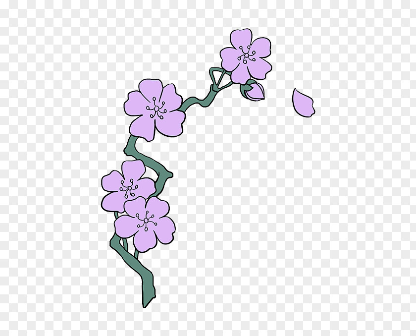 Violet Flower Purple Plant Petal PNG