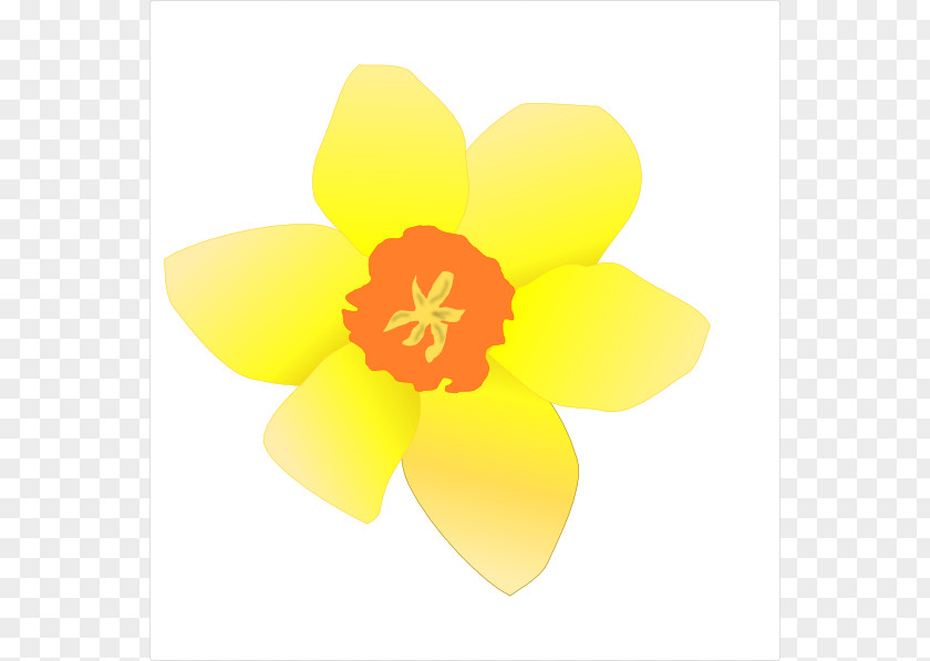 Clump Cliparts Daffodil Free Content Clip Art PNG