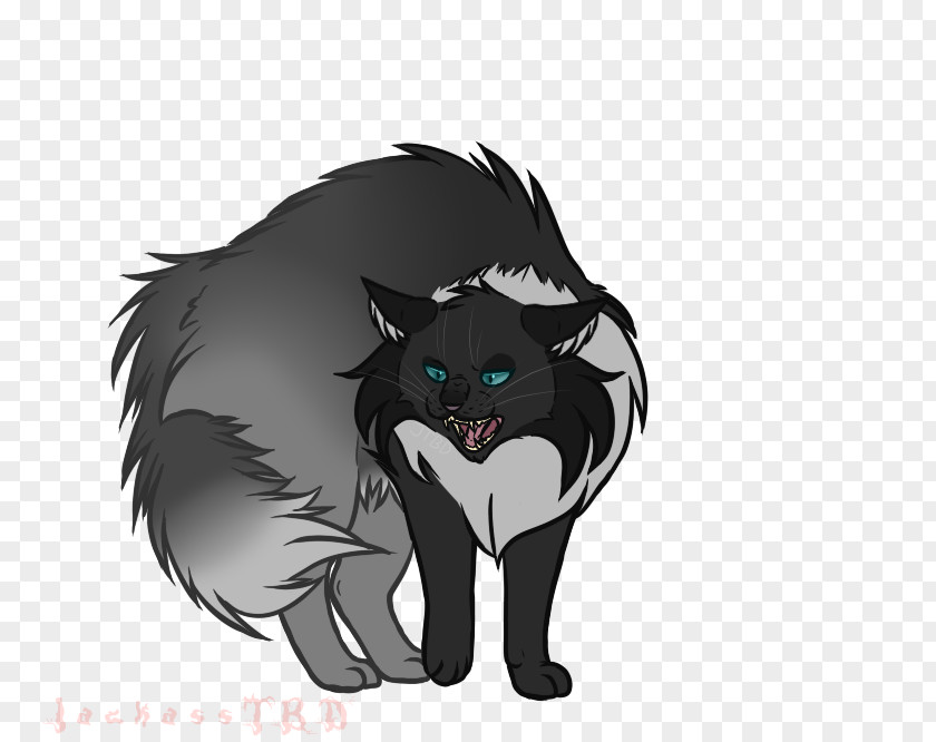 Cool Dude Whiskers Black Cat Canidae Big PNG