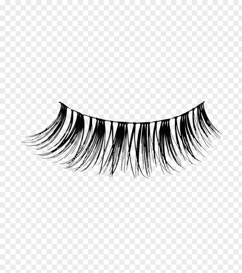 Lashes Eyelash Extensions Cosmetics Hair Clip Art PNG