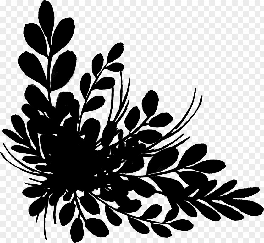 M Floral Design Pattern Chrysanthemum Black & White PNG